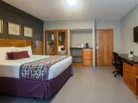 Hotel Aladino Hotels near CEDIMAT