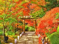 Okumatsushima Lane Hotel - parcheggio