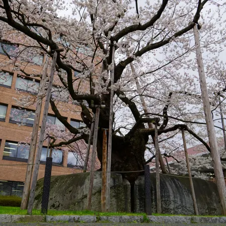 Hotel Metropolitan Morioka New Wing