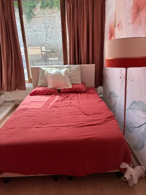 Tastefully-decorated bedroom with garden access Hotels in Schaerbeek