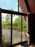 Yarumo Lodge, Río Celeste Black Chalets - Dağ Manzaralı