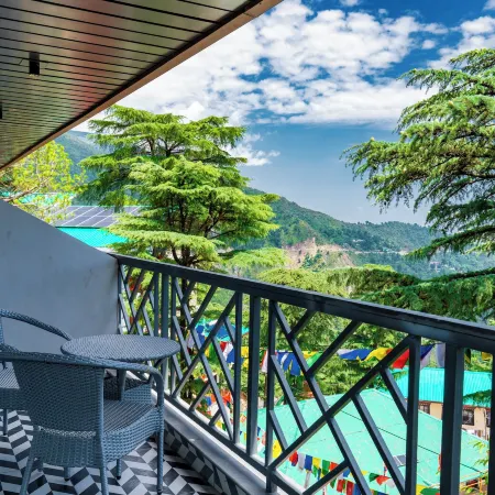 Alivaa Boutique, Dharamkot Road, McLeodganj
