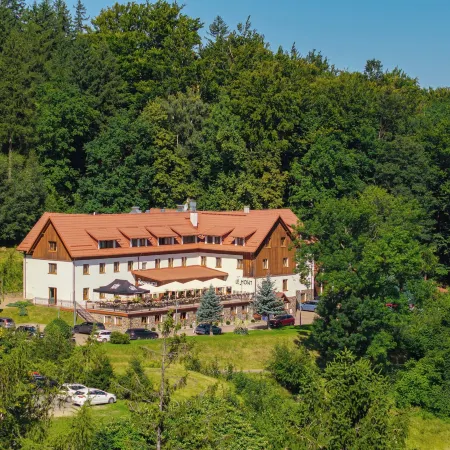 Hotel le Mont Medical & Spa
