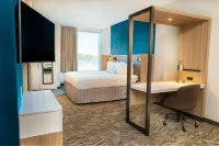紐瓦克弗裏蒙特SpringHill Suites酒店 - 停車場
