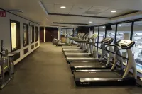 MS Milenium Monterrey, Curio Collection by Hilton - نادي رياضي
