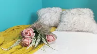 Dimora Euganea by Ca-sa Check - Apartemen