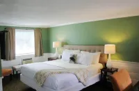 Scenic Vista Inn - Inns