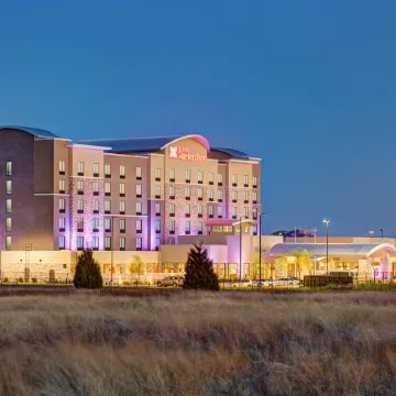Hilton Garden Inn Dallas/Arlington South