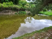 Hongcheon Wellbeing in Forest Hwangto Pension Hotel a Hongcheon-gun