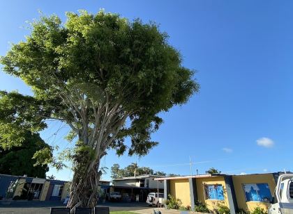 Proserpine Motor Lodge