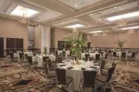 Embassy Suites by Hilton Tuscaloosa Alabama Downtown Hotels in Tuscaloosa