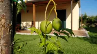 Giardino Tropicale, eco-friendly, private pools - Villas