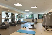 Embassy Suites by Hilton Boston Waltham - Gym