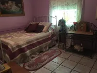 Shady Lady Bed and Breakfast