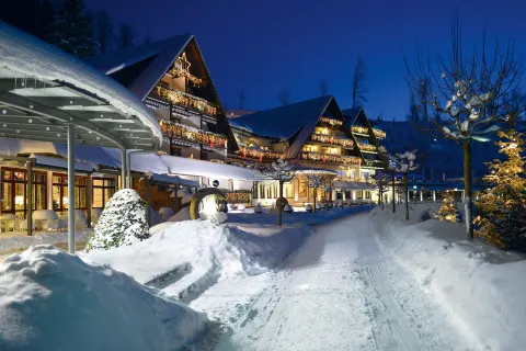 Hotel Dollenberg