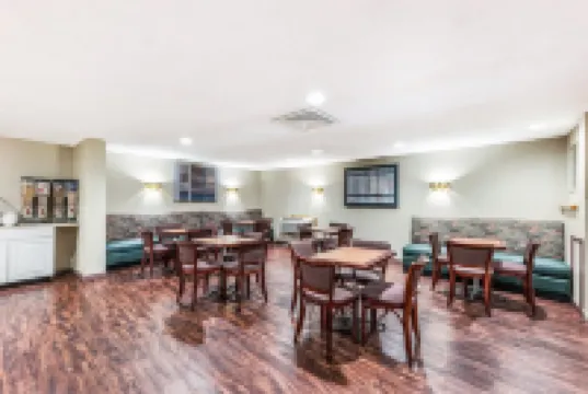 レッド カーペット イン ハズレトン