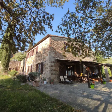 Olivo