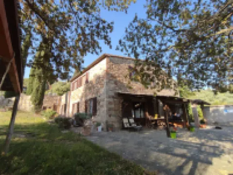 Olivo