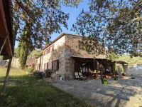 Olivo