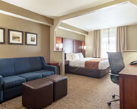 コンフォート スイーツ ノックスビル エアポート アルコアのホテル