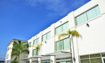 a modern building with a white exterior and large windows , featuring palm trees in the foreground at Hotel San Carlos Tequisquiapan