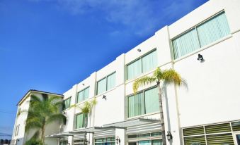 a white building with large windows and palm trees is shown against a blue sky at Hotel San Carlos Tequisquiapan