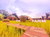Rice Farm Villa Suratthani