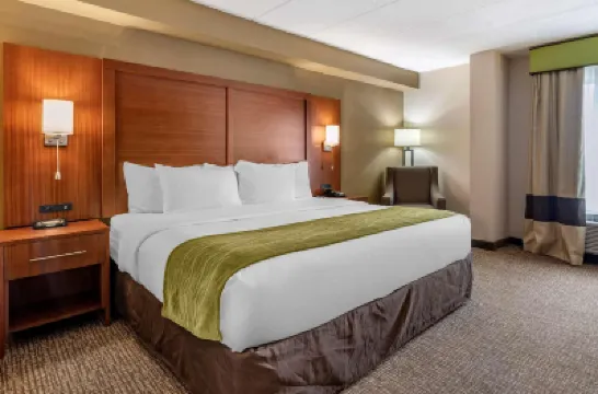 Comfort Inn Airport Hotels in 