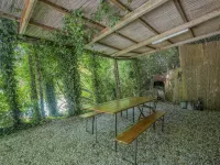 I Cipressi