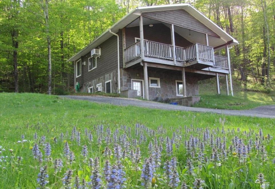 Belleayre Lodge and Cabins,Pine Hill Updated 2024 Reviews & Prices