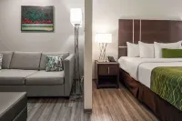 Comfort Inn & Suites Tobago