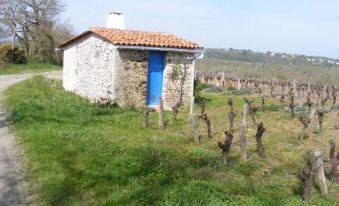 Chambres d'Hôtes Vignes et Loire