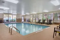 Comfort Inn & Suites Canton Riverstone Area - Pools