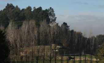 Solar Egas Moniz-Charming House & Local Experiences