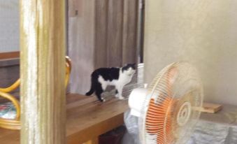 a black and white cat is walking on a wooden table next to a fan at Saraya