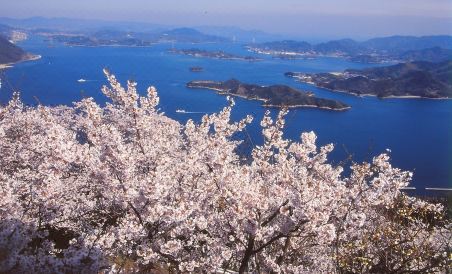Nice Inn Mihara - Housity