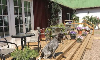 Skummeslöv B & B