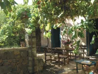 Agriturismo Hibiscus Hotels in Province of Palermo