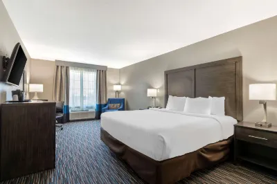 Comfort Inn & Suites Near Medical Center Hôtels à : San Antonio