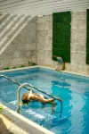 S Hotel Kingston - Pools