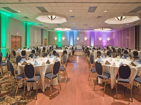 Holiday Inn Binghamton Downtown