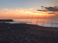 Megumiya Ryokan Hotels in Hiroo