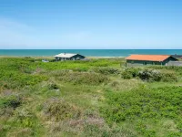 "Hubert" - 150m from the Sea