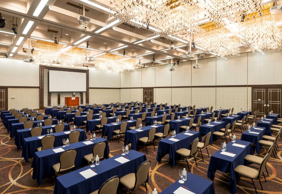 3. 아나 크라운 플..