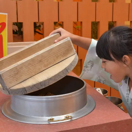 Washu Onsen Bizenya Koushi