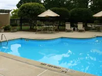 Hampton Inn New Bern - Pool