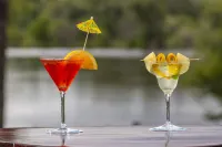 Azambezi River Lodge - ที่มีบาร์