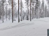 Ilves Hotels in Paltamo