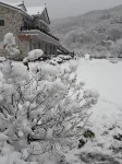 Cheonan Villa Goal Pension - เพนชั่น