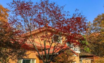 Yongin Deep in Mountain Pension